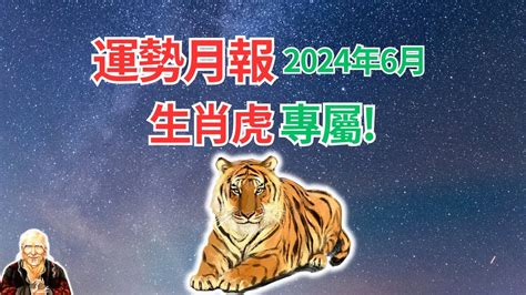 2010年生肖運程|12生肖2010年運程——虎